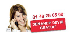 ARA NETTOYAGE, Professionnel du Nettoyage à Paris