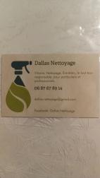 Dallas Nettoyage, Professionnel du Nettoyage en France